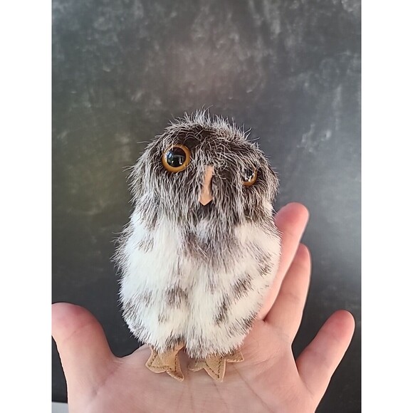 Folkmanis Mini Spotted Owl Finger Puppet, READ - Picture 1 of 10